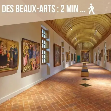 T2 Au Coeur Historique De Avec Clim & Smarttv Appartement Dijon