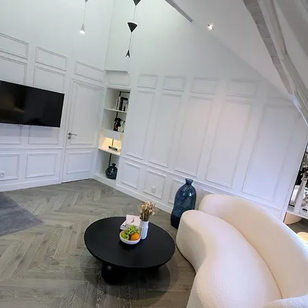 Apartment T2 Au Coeur Historique De Avec Clim & Smarttv Dijon